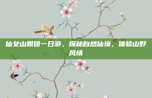 仙女山跟团一日游，探秘自然仙境，体验山野风情