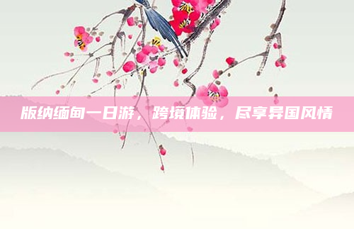 版纳缅甸一日游,跨境体验,尽享异国风情