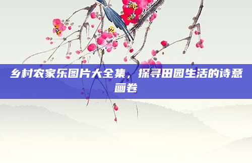 乡村农家乐图片大全集,探寻田园生活的诗意画卷