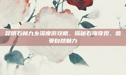 昆明石林九乡深度游攻略，探秘石海奇观，感受自然魅力