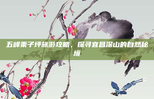 五峰栗子坪旅游攻略，探寻宜昌深山的自然秘境