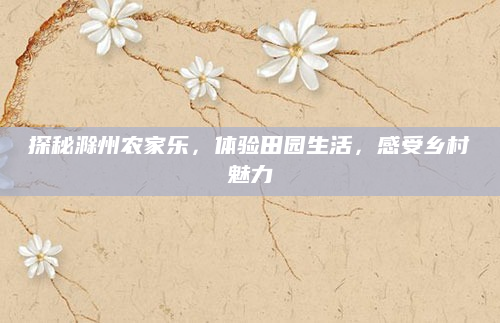 探秘滁州农家乐,体验田园生活,感受乡村魅力