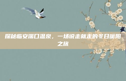 探秘临安湍口温泉，一场说走就走的冬日暖阳之旅