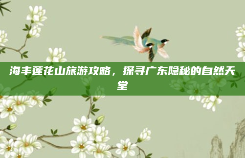 海丰莲花山旅游攻略,探寻广东隐秘的自然天堂