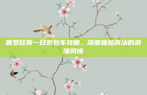 普罗旺斯一日游包车攻略,深度体验南法的浪漫风情