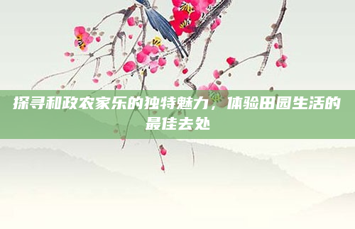 探寻和政农家乐的独特魅力,体验田园生活的最佳去处