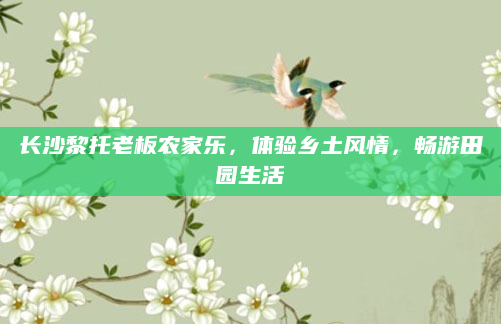 长沙黎托老板农家乐,体验乡土风情,畅游田园生活