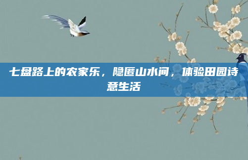 七盘路上的农家乐,隐匿山水间,体验田园诗意生活