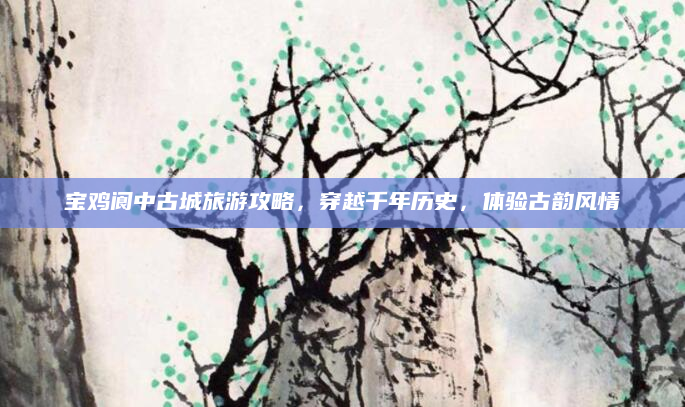 宝鸡阆中古城旅游攻略,穿越千年历史,体验古韵风情
