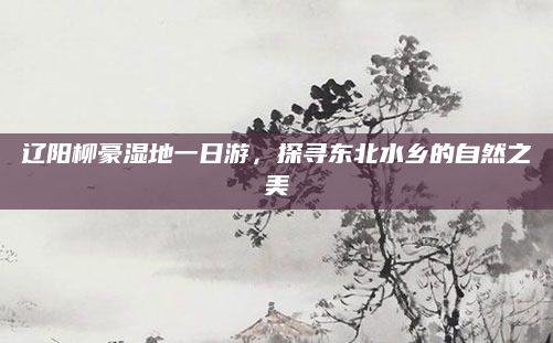 辽阳柳豪湿地一日游,探寻东北水乡的自然之美