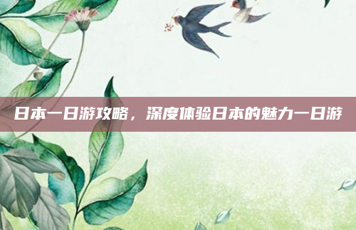 日本一日游攻略,深度体验日本的魅力一日游