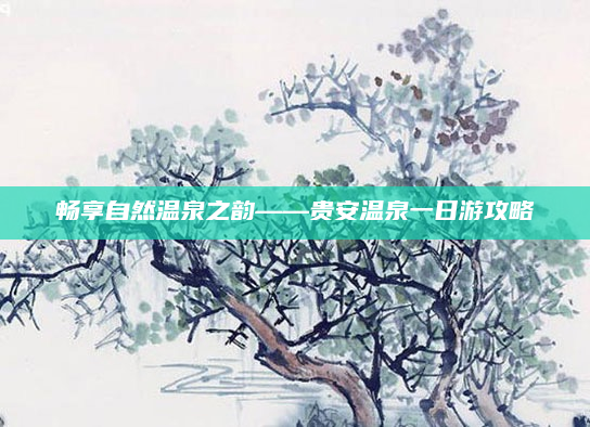 畅享自然温泉之韵——贵安温泉一日游攻略