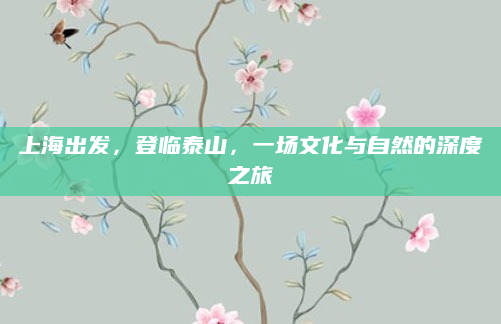 上海出发,登临泰山,一场文化与自然的深度之旅