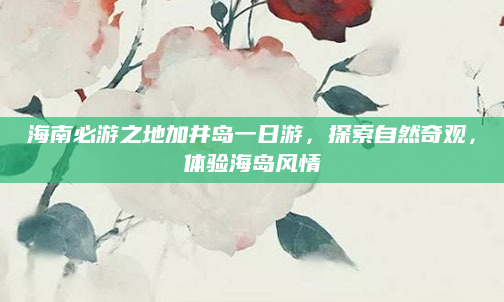 海南必游之地加井岛一日游,探索自然奇观,体验海岛风情