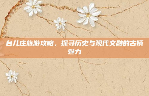 台儿庄旅游攻略，探寻历史与现代交融的古镇魅力