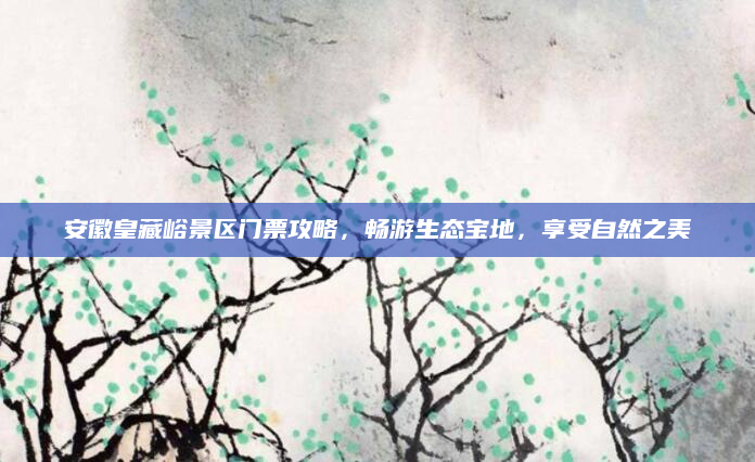 安徽皇藏峪景区门票攻略，畅游生态宝地，享受自然之美