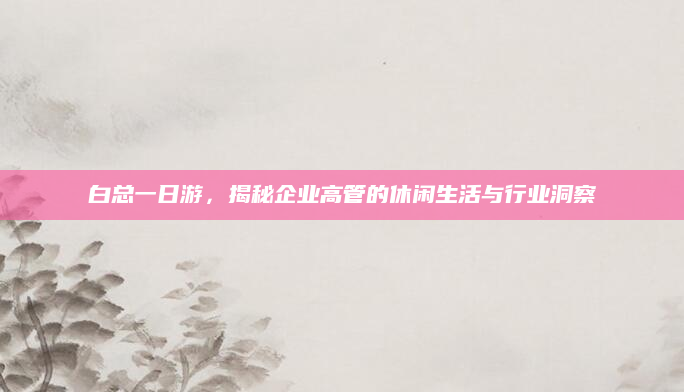 白总一日游，揭秘企业高管的休闲生活与行业洞察