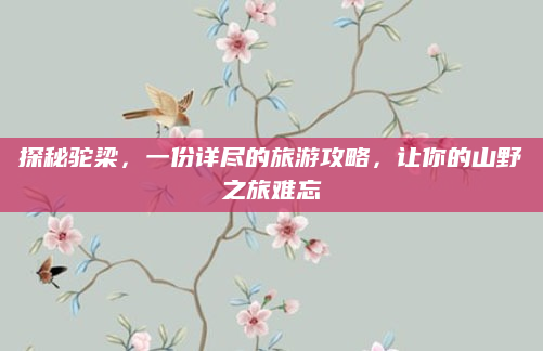 探秘驼梁,一份详尽的旅游攻略,让你的山野之旅难忘