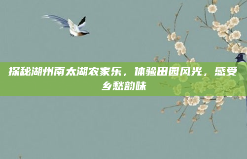探秘湖州南太湖农家乐,体验田园风光,感受乡愁韵味