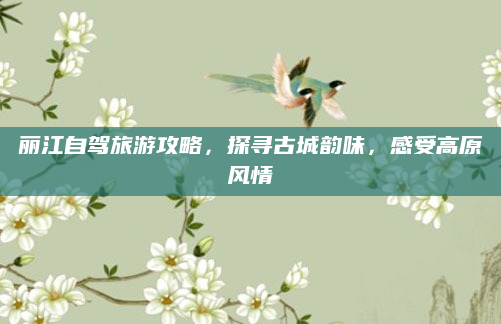 丽江自驾旅游攻略,探寻古城韵味,感受高原风情