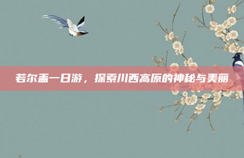 若尔盖一日游,探索川西高原的神秘与美丽