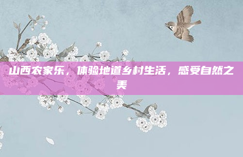 山西农家乐，体验地道乡村生活，感受自然之美