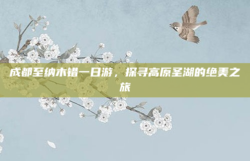 成都至纳木错一日游,探寻高原圣湖的绝美之旅