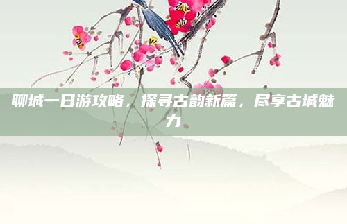 聊城一日游攻略，探寻古韵新篇，尽享古城魅力