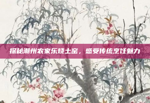 探秘潮州农家乐烧土窑，感受传统烹饪魅力