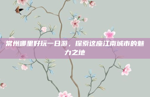 常州哪里好玩一日游，探索这座江南城市的魅力之地
