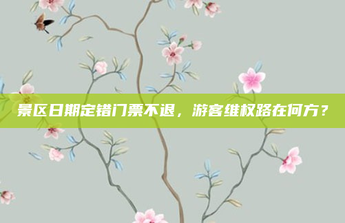 景区日期定错门票不退，游客维权路在何方？