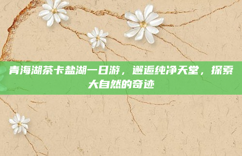 青海湖茶卡盐湖一日游，邂逅纯净天堂，探索大自然的奇迹