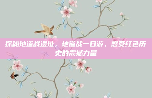 探秘地道战遗址,地道战一日游,感受红色历史的震撼力量