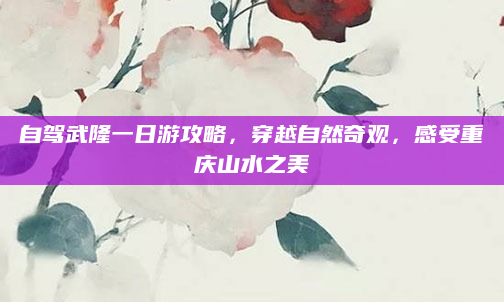 自驾武隆一日游攻略,穿越自然奇观,感受重庆山水之美