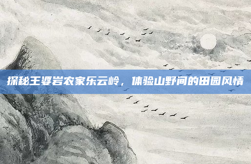 探秘王婆岩农家乐云岭,体验山野间的田园风情