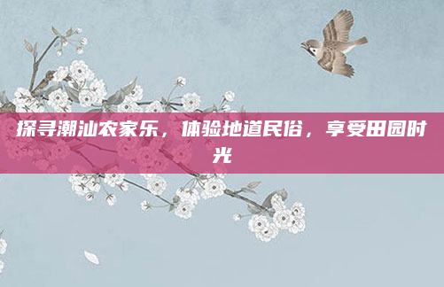 探寻潮汕农家乐，体验地道民俗，享受田园时光