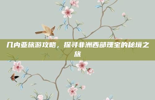 几内亚旅游攻略,探寻非洲西部瑰宝的秘境之旅