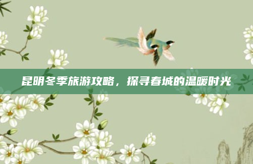 昆明冬季旅游攻略，探寻春城的温暖时光