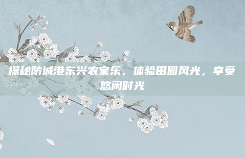 探秘防城港东兴农家乐，体验田园风光，享受悠闲时光