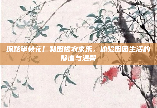 探秘攀枝花仁和田远农家乐，体验田园生活的静谧与温馨