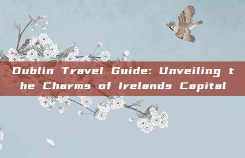 Dublin Travel Guide: Unveiling the Charms of Irelands Capital
