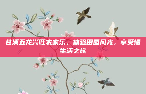 苍溪五龙兴旺农家乐，体验田园风光，享受慢生活之旅