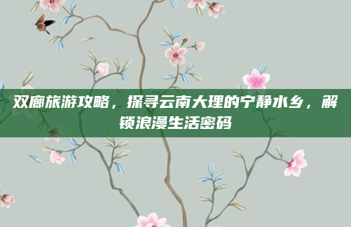 双廊旅游攻略,探寻云南大理的宁静水乡,解锁浪漫生活密码