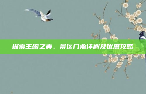 探索王硇之美,景区门票详解及优惠攻略