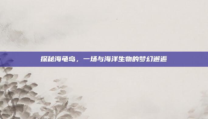 探秘海龟岛,一场与海洋生物的梦幻邂逅