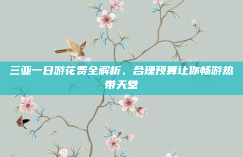 三亚一日游花费全解析，合理预算让你畅游热带天堂