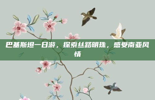 巴基斯坦一日游，探索丝路明珠，感受南亚风情