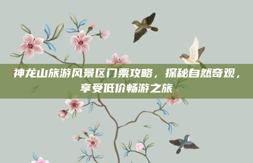 神龙山旅游风景区门票攻略，探秘自然奇观，享受低价畅游之旅