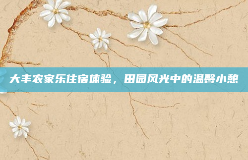 大丰农家乐住宿体验，田园风光中的温馨小憩