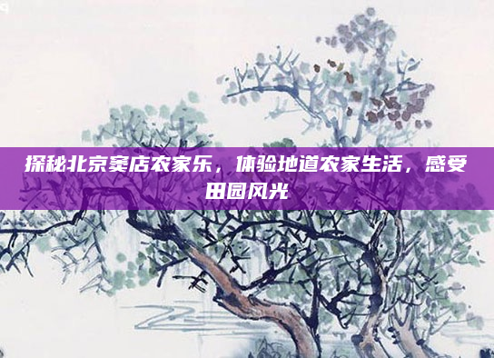 探秘北京窦店农家乐，体验地道农家生活，感受田园风光
